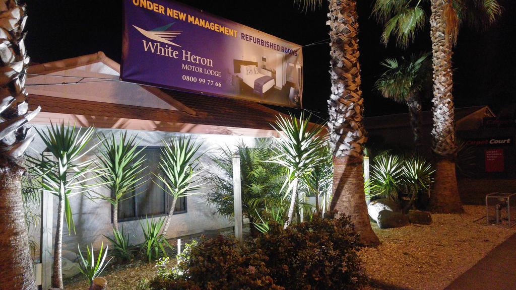White Heron Motor Lodge Gisborne Extérieur photo