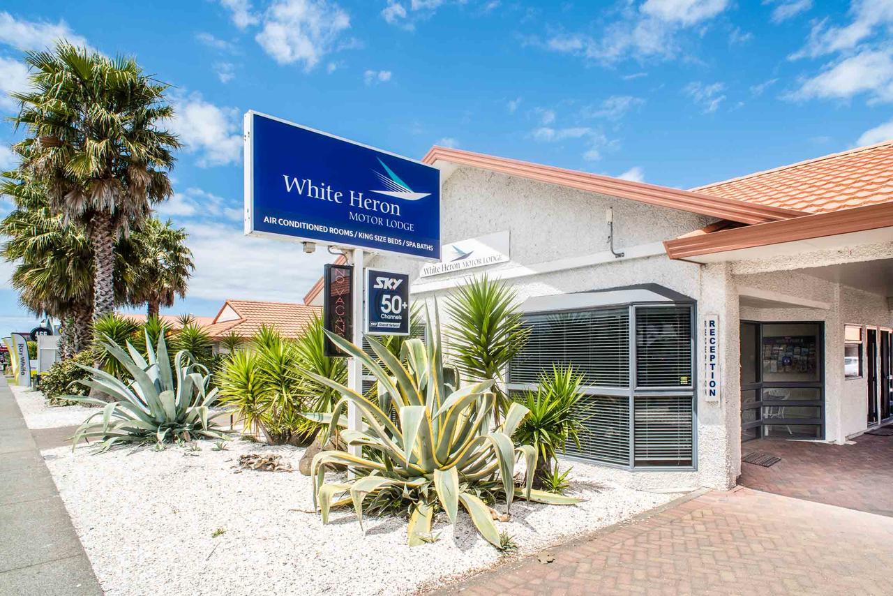 White Heron Motor Lodge Gisborne Extérieur photo