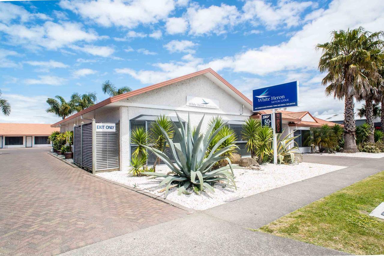 White Heron Motor Lodge Gisborne Extérieur photo