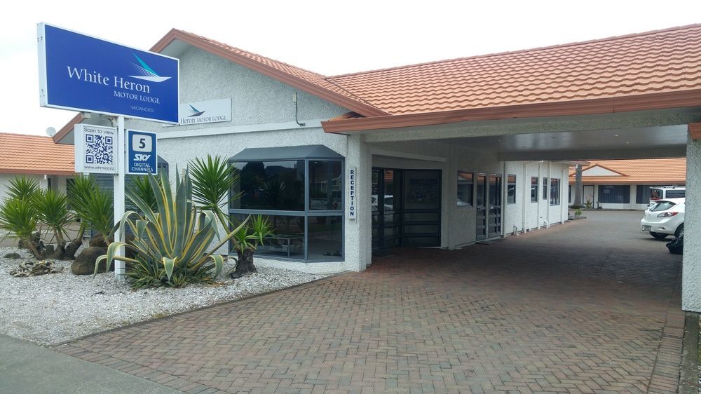 White Heron Motor Lodge Gisborne Extérieur photo