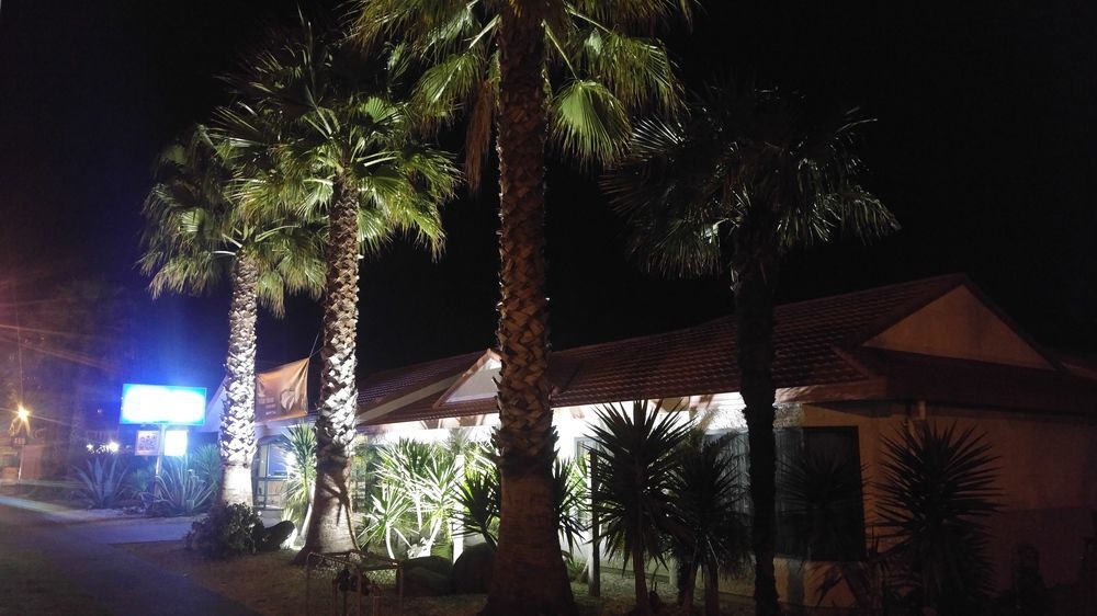 White Heron Motor Lodge Gisborne Extérieur photo