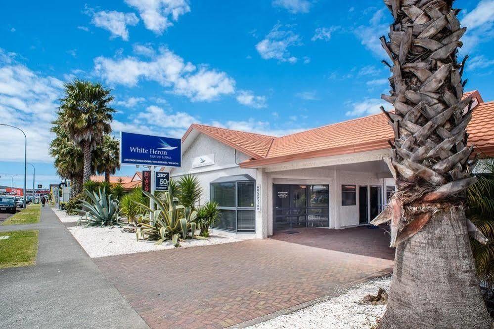 White Heron Motor Lodge Gisborne Extérieur photo