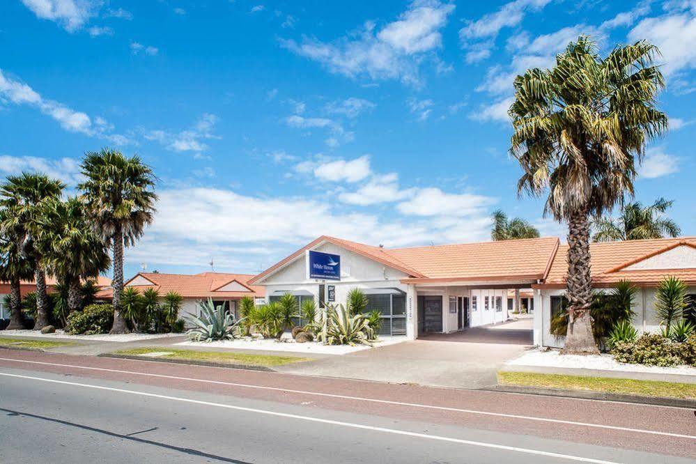 White Heron Motor Lodge Gisborne Extérieur photo